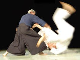 aikidosite